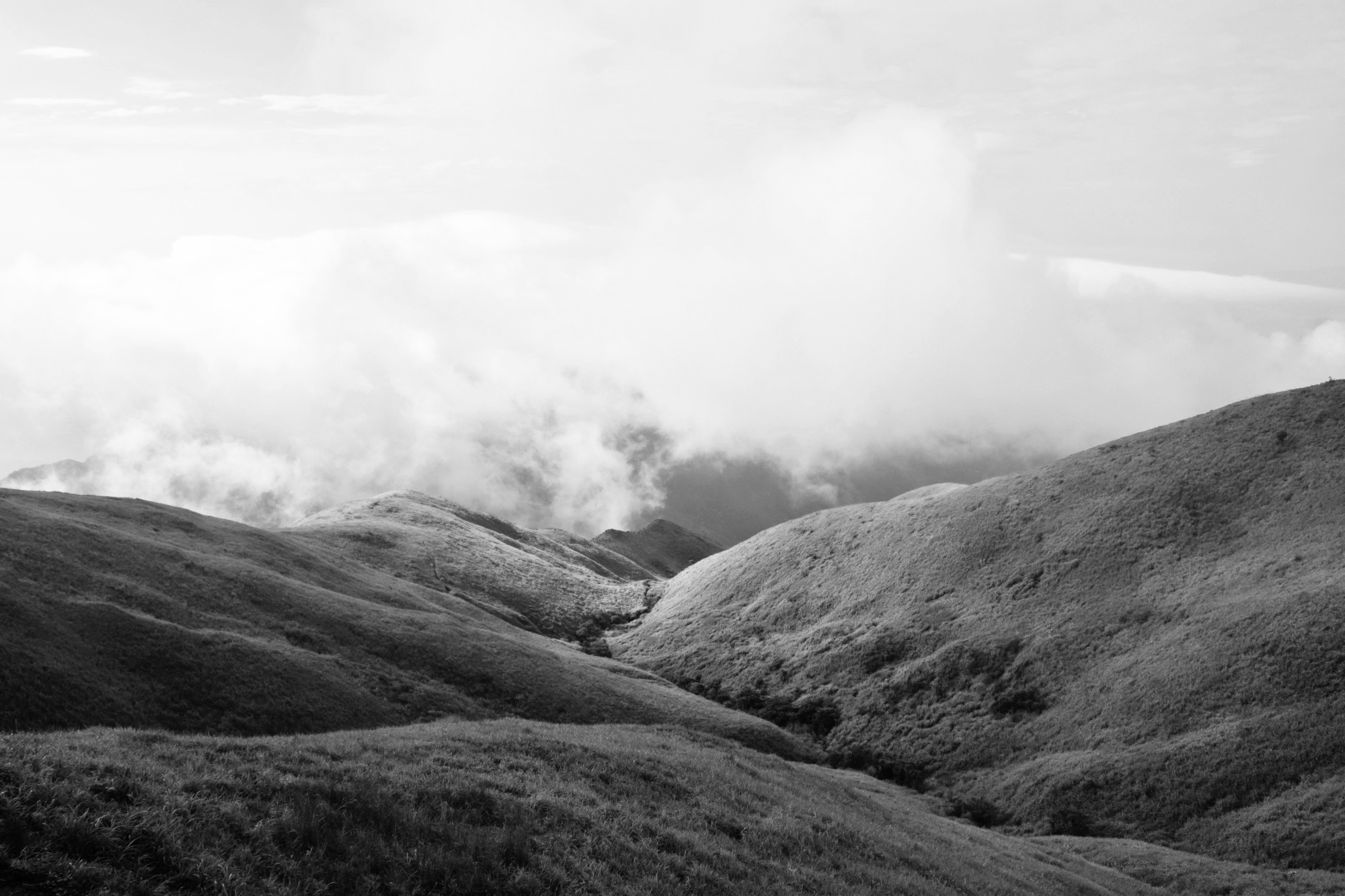 Ashes On The Hill